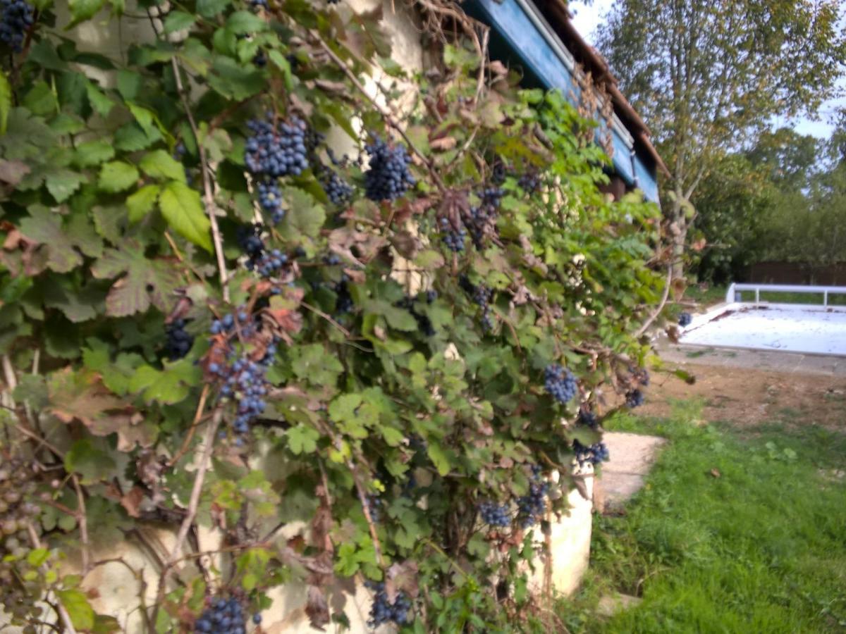 Nicely Renovated Wine-Grower House Fargues-Saint-Hilaire 外观 照片